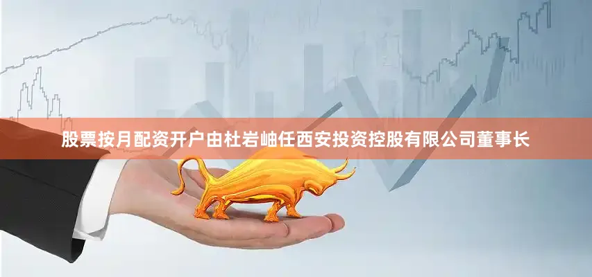 股票按月配资开户由杜岩岫任西安投资控股有限公司董事长