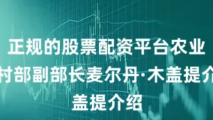 正规的股票配资平台农业农村部副部长麦尔丹·木盖提介绍