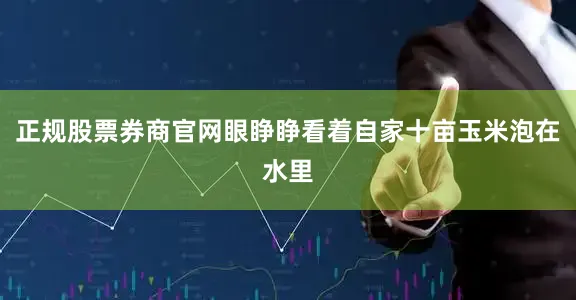 正规股票券商官网眼睁睁看着自家十亩玉米泡在水里