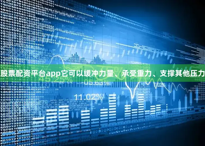 股票配资平台app它可以缓冲力量、承受重力、支撑其他压力