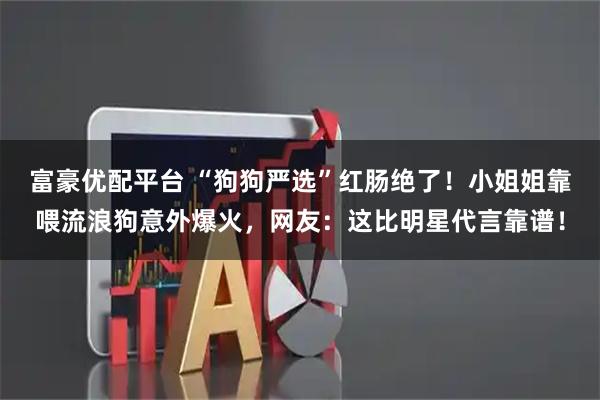 富豪优配平台 “狗狗严选”红肠绝了！小姐姐靠喂流浪狗意外爆火，网友：这比明星代言靠谱！