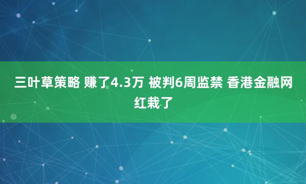 三叶草策略 赚了4.3万 被判6周监禁 香港金融网红栽了