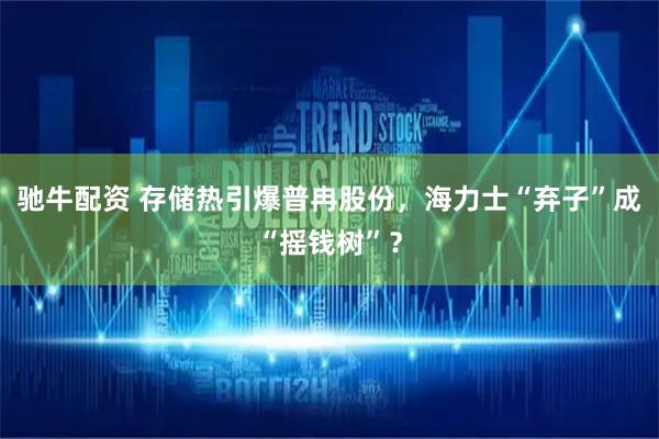 驰牛配资 存储热引爆普冉股份，海力士“弃子”成“摇钱树”？