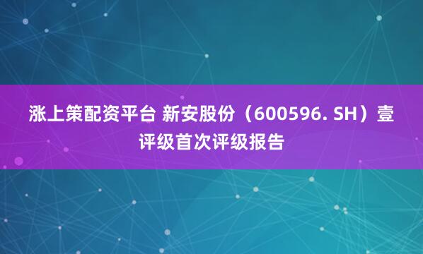 涨上策配资平台 新安股份（600596. SH）壹评级首次评级报告